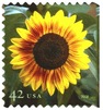 SF stamp